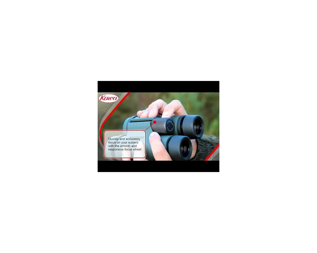 KOWA 10倍双眼鏡 GENESIS 33 PROMINAR 10×33 Kowa Genesis 33 Prominar XD lens-binoculare, 10 x 33 cm: :  Electronics \u0026 Photo