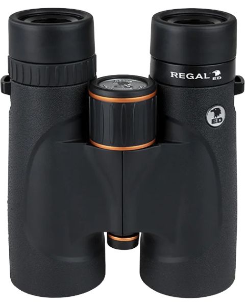 Celestron Regal 10x42 ED