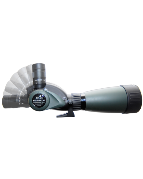 Avian Multiview 80