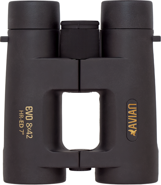Avian EVO HR-ED 8x42 Binoculars