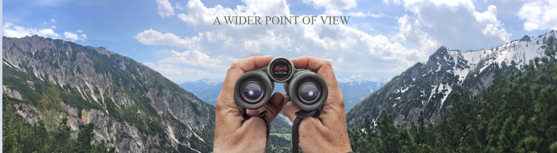 kowa bdii xd binoculars have a wide angle view