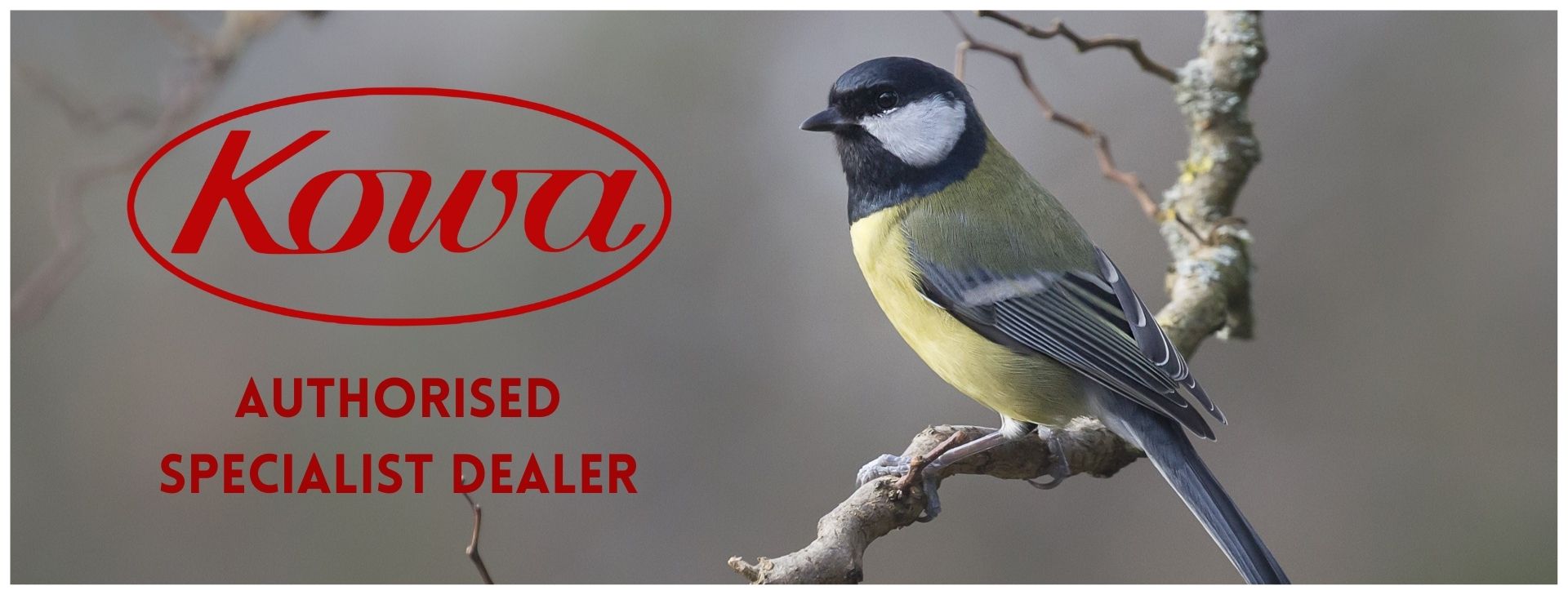 ace optics is an kowa authorised dealer. bird picture