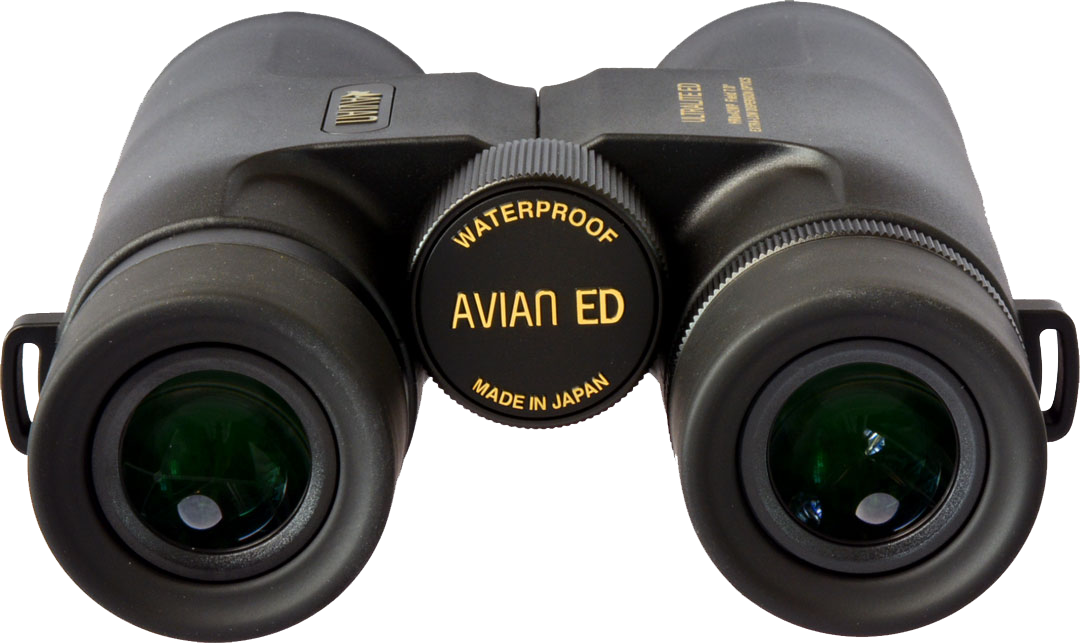 Avian EVO HR-ED 8x42 Binoculars