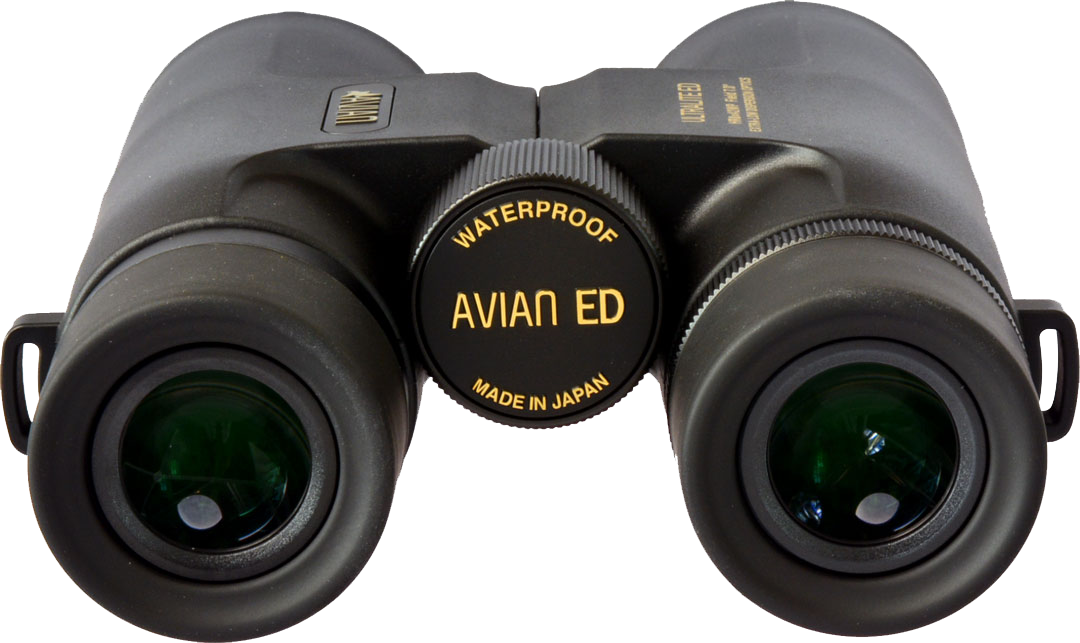 Avian EVO HR-ED 8x42 Binoculars