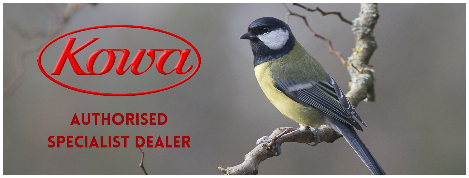 Ace Optics is a Kowa Authorised Dealer. Bird picture