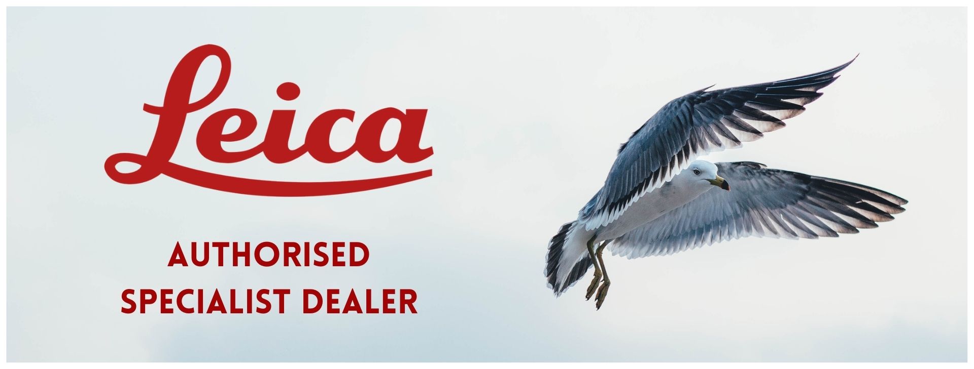 ace optics is a leica authorised dealer. seagull picture