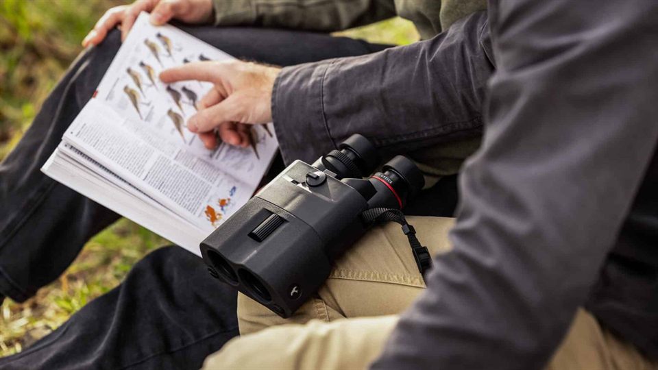 Bird guide and binoculars ready for a new sighting
